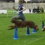 DVG Bundessiegerprüfung