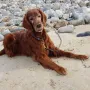 Im Urlaub