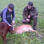 Toll gemacht, der Bock ist gefunden
