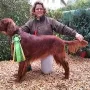 Ryan-Ray, unser neuer Siegerhund...