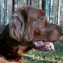 Und wieder ein tolles Bild von Ryan-Ray