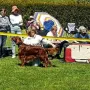 Ryan-Ray präsentiert an der CAC Stuttgart-Mühlhausen mit einem hervorragendem V4