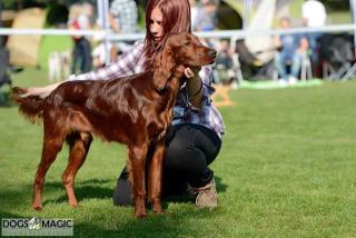 Ron an der CAC Forst 2014 VV1