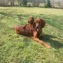 Remember Winny bleibt in Aurach bei den Gebirgsjägern. Wir hoffen sehr auf Winny2