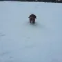 Braucht ganz schön Kraft der Schnee