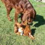 Und wieder mit Tante Kathy
