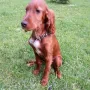 Remeber Winny wird langsam eine kleine Dame