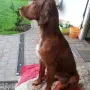 Remember Winny "mausert" sich raus