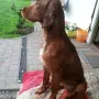 Remember Winny, klasse...