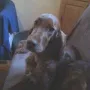Remember Winny ......