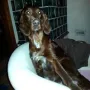 Remember Winny 1 Jahr alt