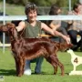 Remember Winny an der CAC Forst 2015