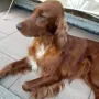 Remember Winny genießt die Sonnenstrahlen