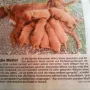 Remember Winny die Hundemama 2016 in der Zeitung