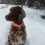 Remember Winny im kalten Januar 2017