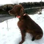 Remember Winny im letzten Schnee 2017 