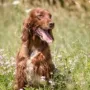 Remember Winny Fotoshooting mit Andrea Mayer