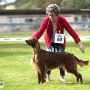 Remember Winny an der CAC Forst 2018