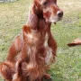 Remember Winny, die Mutter unseres E³-Wurfes
