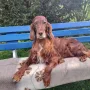 Remember Winny 8 Jahre