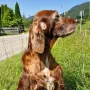 Remeber Winny 10,5 Jahre