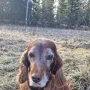 Remember Winny ist nun über 11 Jahre alt und total fit