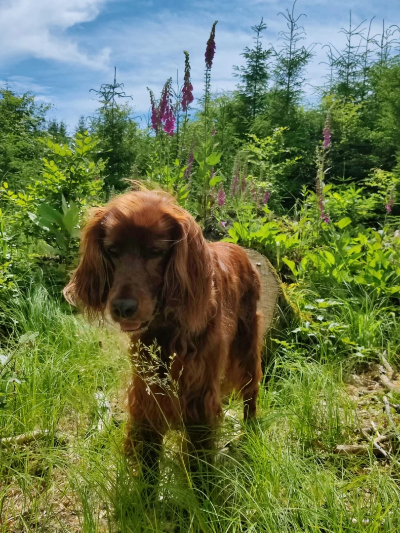 Rani 12,5 Jahre