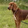 Rani im Juli 2014