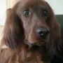 Rani im Alter von 3 Jahren