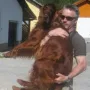 Und er wird von Herrchen geliebt.