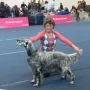 Princess Dora an der CACIB Wels 2014