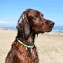 Samira im Urlaub in Spanien