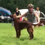 Salute Jay SRA Günzburg 2016