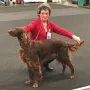 Salute Jay gewinnt die GKL an der CACIB Nürnberg 2018