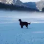 Schöner und kalter Februar 2018