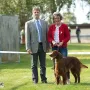 Salute Jay gewinnt wiederholt die Championklasse an der CAC Forst 2018