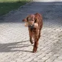 Apport ist ihre Lieblingsbeschäftigung