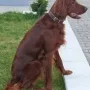 Shira nun schon 11 Monate alt