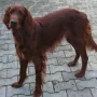 schön hat sie sich rausgemausert