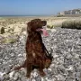 Sissy im Urlaub