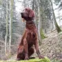 Sue auf dem Gipfel