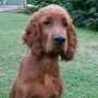 Sir Sky ist zu Su und Roland nach Kulmbach gezogen