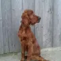 Sir Sky nun auch 5 Monate alt
