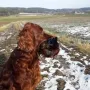 SIr Sky fleissig im Apport