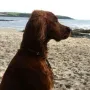 Tango im Urlaub 