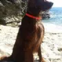Tango mal wieder im Urlaub...super!