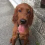 Toffy wird auch schon groß