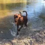 Turlough Copper, sein Leben ist die Isar
