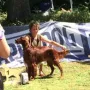 TOP "Una" Landesjugendsieger Bayern 2017