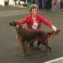 TOP "Una" an der CACIB Nürnberg 2018